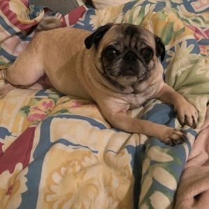 Meet your Posher, Tonya